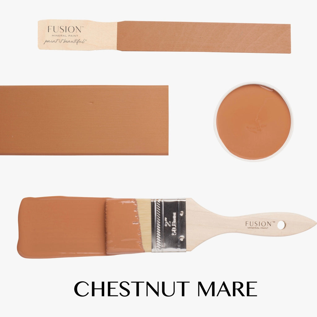 Tester - Chestnut Mare