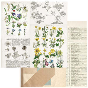 49 and Market Curators Botanical Pressed Petals