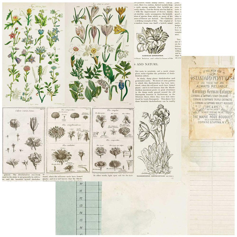 49 and Market Curators Botanical Anthology