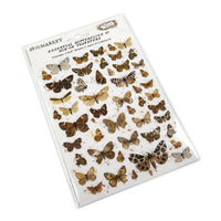 49 and Market Vintage Bits Essential Butterflies 01 Rub-On Transfers